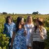 Visite guidée des vignes et vignobles du Domaine Treuillet à Tracy sur Loire, chaque samedi