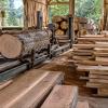 Sciage à la commande de bois brut, Douglas, Chataîgnier, Chêne, Sapin à Aslonnes (86), Eco Bois - Scierie Artisanale du Fort