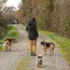 Educ de Wouf – éducateur et comportementaliste canin entre Les Sables-d’Olonne et la Roche-sur-Yon