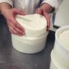 Fromage frais au lait de brebis et moulage pour les étapes suivantes : égouttage et séchage puis affinage à la ferme Du Bois Soleil pour la fabrication de fromages au lait de brebis à Sèvres-Anxaumont (86)
