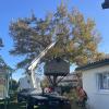 Élagage avec nacelle à Léguevin
Intervention d’élagage à Léguevin avec nacelle élévatrice pour travailler en sécurité sur un arbre de grande hauteur à proximité d’une habitation.