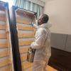 Traitement punaises de lit dans un hôtel à Toulon