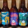 Bières artisanales, Cave à bières La Palette Gourmande à Auvers sur Oise (95)