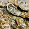 Huîtres d'Oléron et de Marennes à la Poissonnerie Le Club du Poisson à Neuilly sur Seine (92)