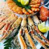 Plateau de fruits de mer à la Poissonnerie Le Club du Poisson à Neuilly sur Seine (92)