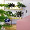 Plantes pour intérieur et extérieur