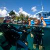 Plongée bouteille - Réserve Cousteau - Guadeloupe - Les Heures Saines