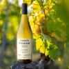 Vin Blanc Oro Verde, Domaine du Clocher à Sainte Anne (41)