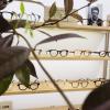 visuel du magasin d'optique L'Oeil de L'Opticien Bordeaux centre