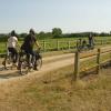 Et si vous profitiez d'une balade en vélo dans ls vignes ! Un cadre reposant qui peut être associé à une dégustation de vin dans un domaine.