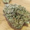 cbd top qualité