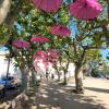 Octobre rose 2025