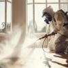 Traitement insecticide Essonne 