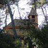 Cabane écureuil