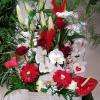 Crédit photo : page facebook, A Fleurs De Pot