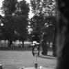 paris jardin des tuileries.