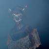 La nuit des corbeaux 2015