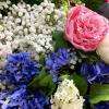 Fêtons le printemps avec ces jolies fleurs!