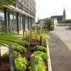 Agen Paysages - jardinier paysagiste