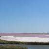 Les salins d'Aigues-Mortes