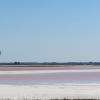 Les salins d'Aigues-Mortes avec oiseau qui vole dessus