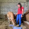 AKORA - LIARD Coralie - Garde d’animaux à domicile - Promeneur de chiens - Kinésiologie et Bien être animal