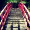 Jardin Japonais
