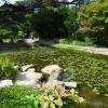 Jardin Japonais
