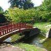 Jardin Japonais