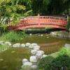 Jardin Japonais