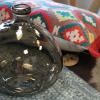 vase-verre-recyclé-coussin