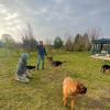 Alta Dog 
Clément Simon
Educateur et comportementaliste canin – Troyes et ses alentours
