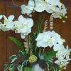 composition orchidée avec fleurs eternelles