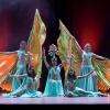 La Compagnie Oriental Groove, danseuses orientales pour tous types d'événement à Bordeaux et/ou en France. On se déplace sans soucis en France et aussi à l'étrangère