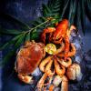 Stylisme culinaire