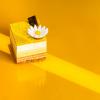 Stylisme culinaire