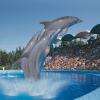 Marineland