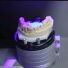 basal dental implants
