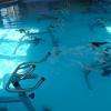 Bassin Aqua'tlantis aquabiking