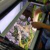 Réalisations, entretiens d'aquariums décorés
