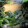 Pralognan - Aquarium de 50 litres