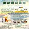 Traitement Termites 