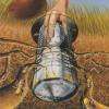 Traitement Termites 