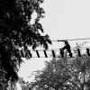 Passerelle de la mort qui tue!!