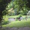Paysage