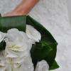 Photographe de mariage - reportage.
