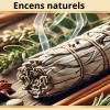 Une large gamme d'encens à venir découvrir sur notre boutique.
Des encens naturels: en grains, en résines, en poudre, en feuilles, plantes et herbes séchés. Des bâtons d'encens aux notes de parfums florales, fruités, aromatiques.