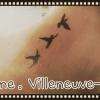 Oiseaux par Art'n'b line tattoo
