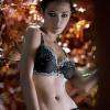 Soutien-gorge "PERLE DE NUIT"

SG classique ou emboitant. Broderie   