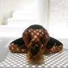 Dao Yin Yoga